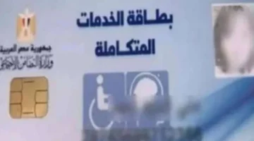 كارت 2025.. طريقة بسيطة للاستعلام عن الخدمات المتكاملة حسب الفئات المستحقة برقمك القومي